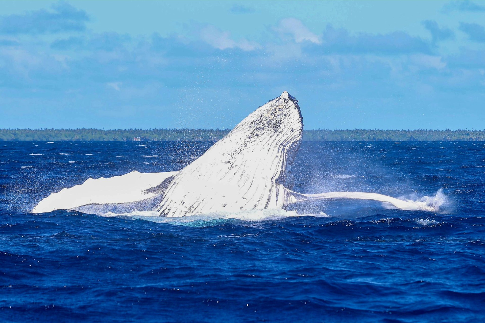 Tonga